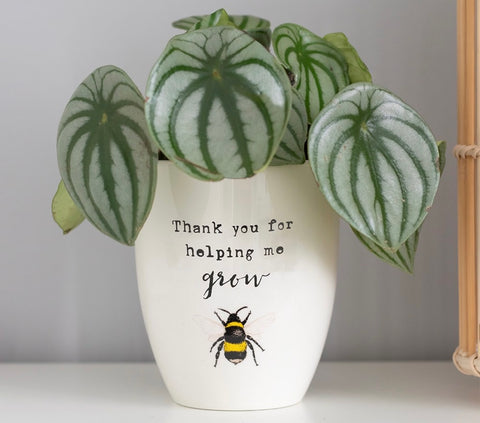 Teacher gift plant pot 🎀
