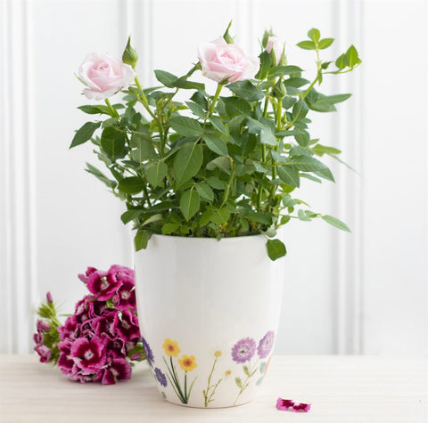 Wildflower plant pot 🎀