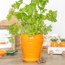 Carrot shape plant pot 🎀