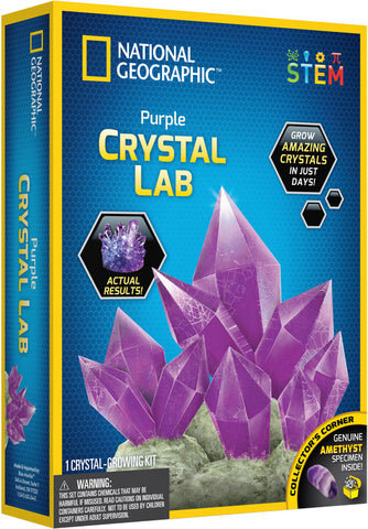 Purple crystal lab🪁