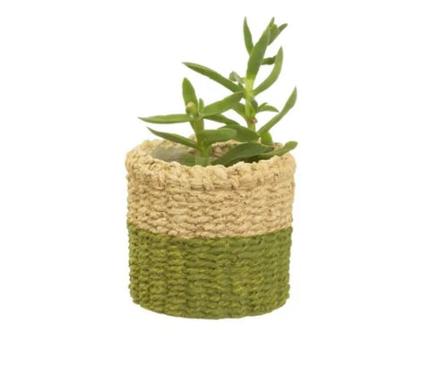 sass and belle plant pot Sass and belle plant pot🎀 – Flamingo and a Toadstool